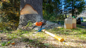 Baumpflege & Baumberatung aus Vorarlberg. Forstarbeiten, Baumpflege & Baumberatung, Baumfällung, Helikopterfällung, Industriekletterarbeiten, Baumgutachten, Trassenfreihaltung, Felsräumarbeiten und Demontage von Seilbahn-Stützen.