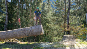 Baumpflege & Baumberatung aus Vorarlberg. Forstarbeiten, Baumpflege & Baumberatung, Baumfällung, Helikopterfällung, Industriekletterarbeiten, Baumgutachten, Trassenfreihaltung, Felsräumarbeiten und Demontage von Seilbahn-Stützen.