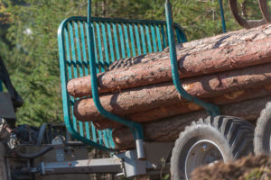 Baumpflege & Baumberatung aus Vorarlberg. Forstarbeiten, Baumpflege & Baumberatung, Baumfällung, Helikopterfällung, Industriekletterarbeiten, Baumgutachten, Trassenfreihaltung, Felsräumarbeiten und Demontage von Seilbahn-Stützen.