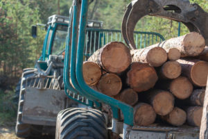 Baumpflege & Baumberatung aus Vorarlberg. Forstarbeiten, Baumpflege & Baumberatung, Baumfällung, Helikopterfällung, Industriekletterarbeiten, Baumgutachten, Trassenfreihaltung, Felsräumarbeiten und Demontage von Seilbahn-Stützen.