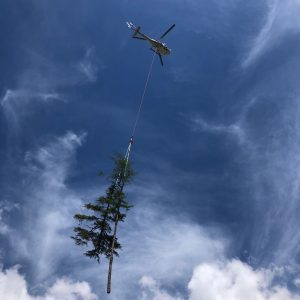 Helikopterfällung, Leitungs- und Trassenfreischnitt, Stehendbaumabtrag