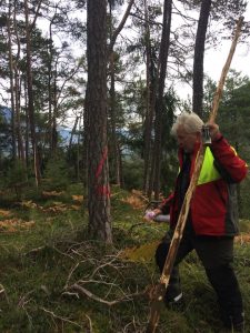 Forstarbeiten, Holzschlägerung, Rodung, Sturmschäden, Bachräumung