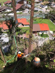 Helikopterfällung, Leitungs- und Trassenfreischnitt, Stehendbaumabtrag