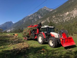 Trassenfreihaltung, Versorgungssicherheit, Flächenräumungen Vorarlberg