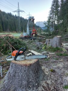 Trassenfreihaltung, Versorgungssicherheit, Flächenräumungen Vorarlberg