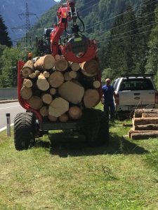 Forstarbeiten, Holzschlägerung, Rodung, Sturmschäden, Bachräumung