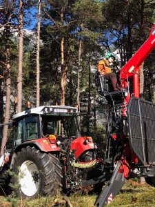 Forstarbeiten, Holzschlägerung, Rodung, Sturmschäden, Bachräumung