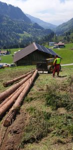 Holzrücken, Holz Rücken, Pferde Rücken, Holzrücken Vorarlberg, Holzschlägerung, Holzfällung, Bodenzug, Holz liefern