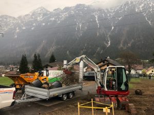 Großbaum Verpflanzungen, Bäume pflanzen, Baum pflanzen, humusieren, Rasen ansähen, Dreibein für Bäume, Bäume pflanzen Vorarlberg