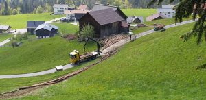 Holzrücken, Holz Rücken, Pferde Rücken, Holzrücken Vorarlberg, Holzschlägerung, Holzfällung, Bodenzug, Holz liefern