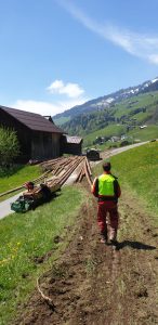 Holzrücken, Holz Rücken, Pferde Rücken, Holzrücken Vorarlberg, Holzschlägerung, Holzfällung, Bodenzug, Holz liefern