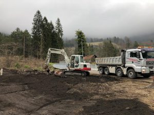 Großbaum Verpflanzungen, Bäume pflanzen, Baum pflanzen, humusieren, Rasen ansähen, Dreibein für Bäume, Bäume pflanzen Vorarlberg