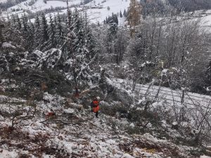 Hubschrauber Holzbringung Leogang