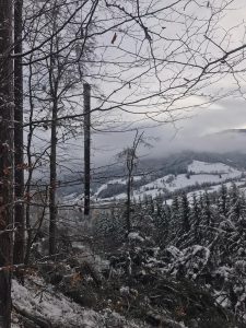 Hubschrauber Holzbringung Leogang