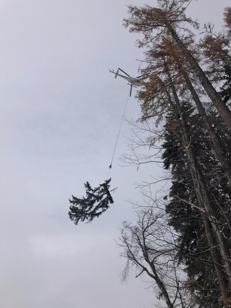 Hubschrauber Holzbringung Leogang