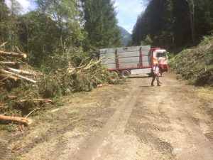 Baufeld Rodung Montafon