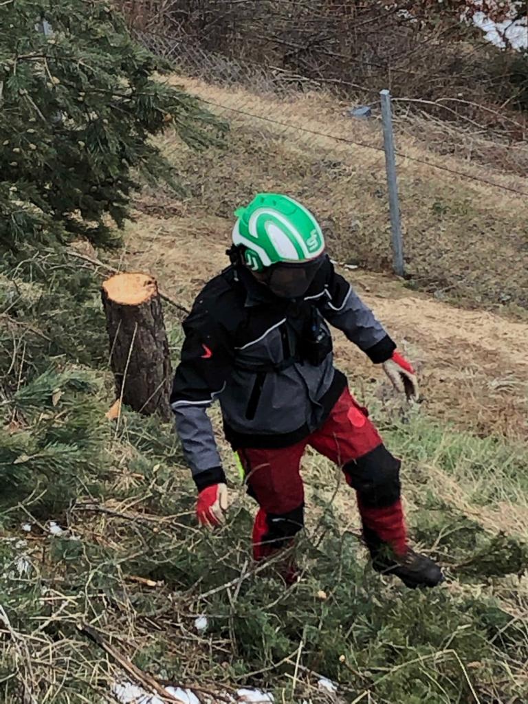 Holzschlägerung, Holzfällen, Holzbringung, Tirol, Grins, Landeck, Kranfällung, Kran, LKW