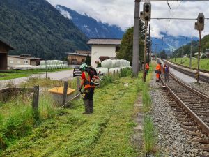 Mulcharbeiten und Mäharbeiten