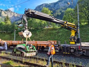 Mulcharbeiten und Mäharbeiten