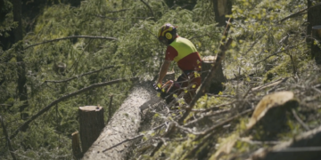 Holzschlägerungen Strengen